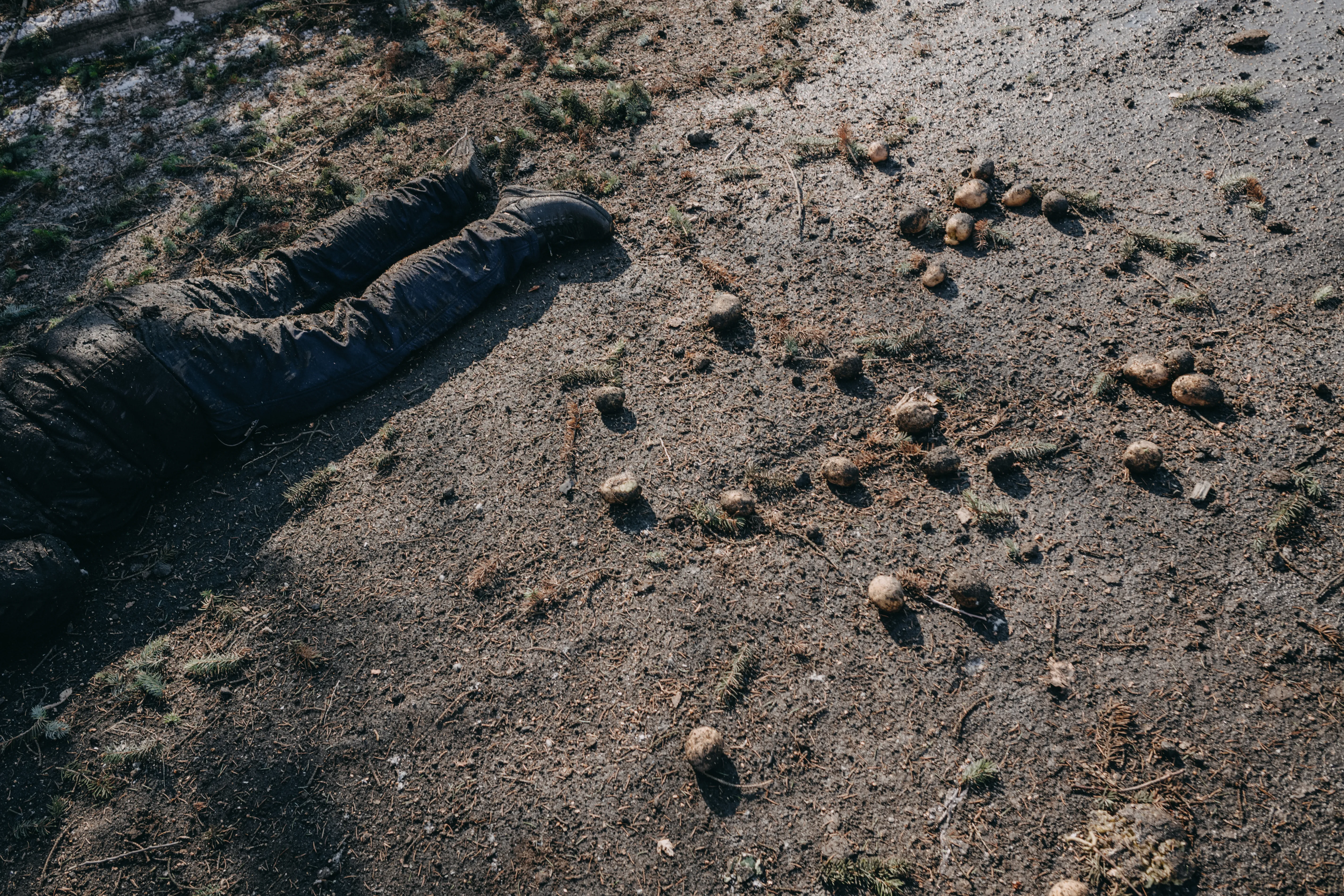 fot. Wojciech Grzędziński 