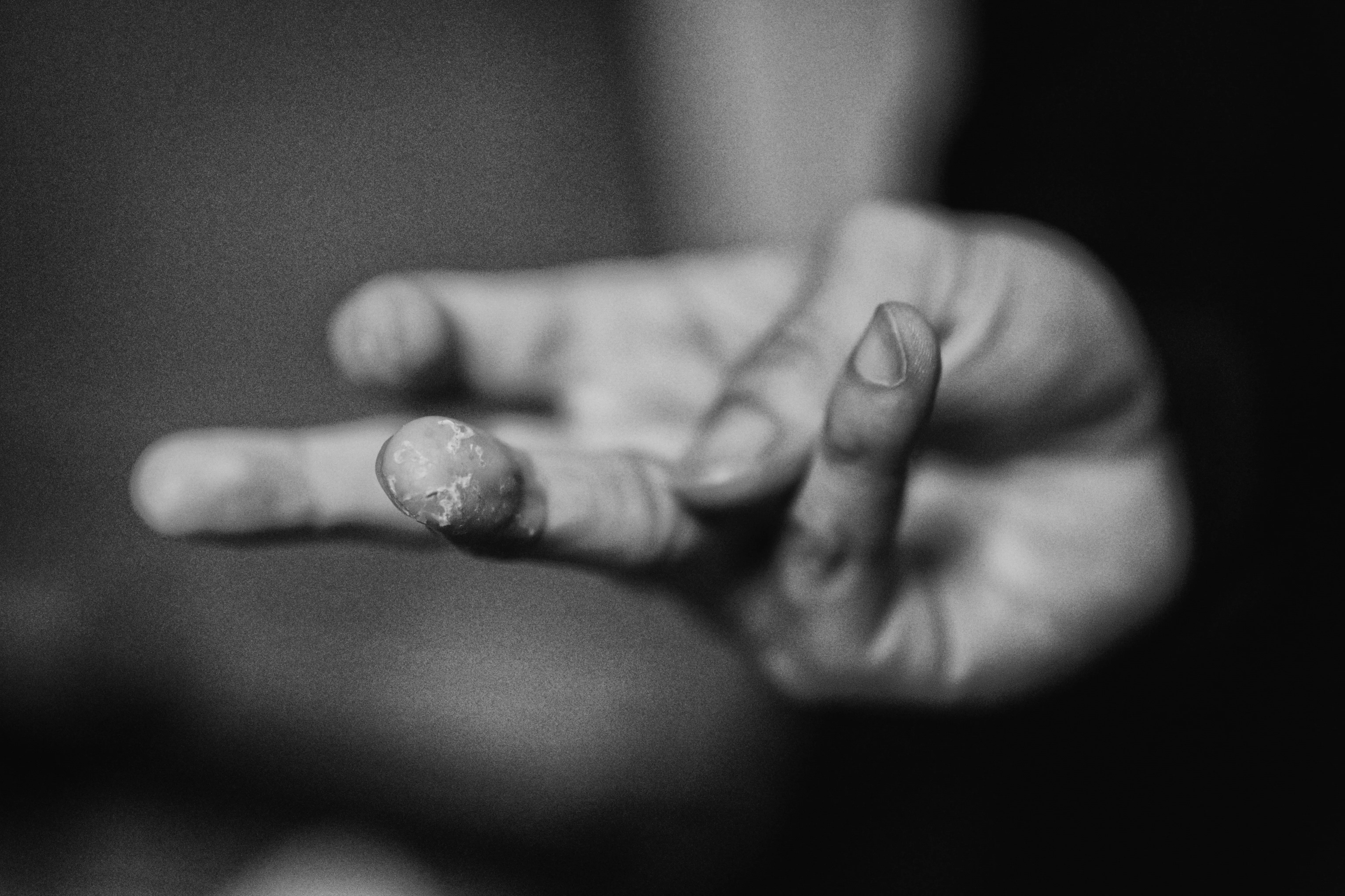 fot. Wojciech Grzędziński 